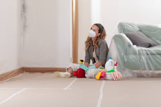 Reliable Mold Remediation contractor in Paris, TX by WQB Mold Removal